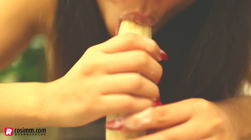 [ROSI写真] 视频NO.231